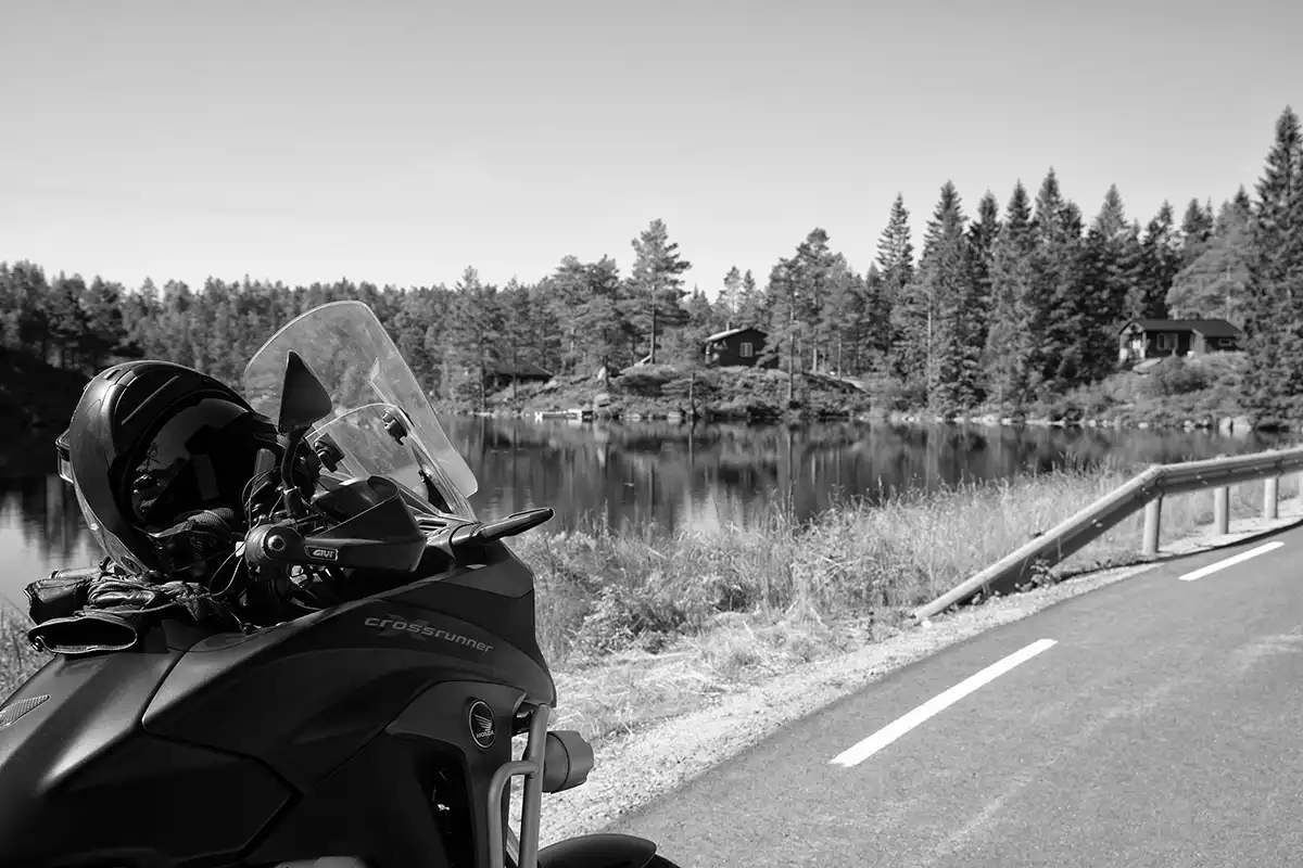 Gonçalo Cunha de Sá