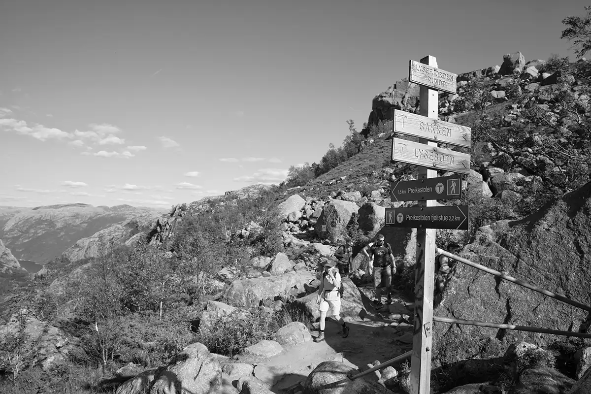 Gonçalo Cunha de Sá
