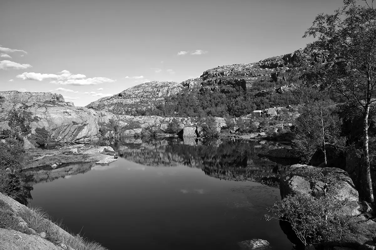 Gonçalo Cunha de Sá