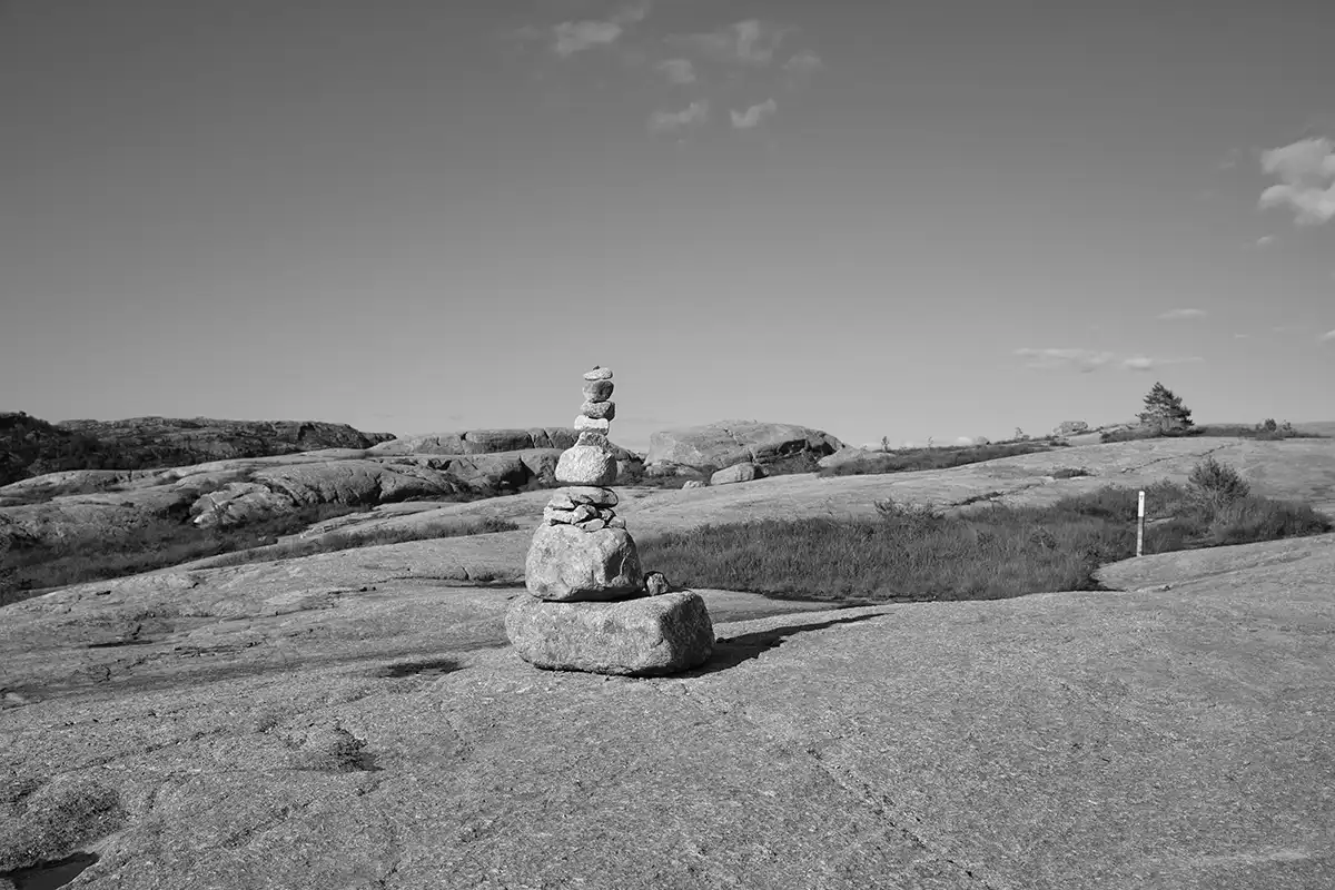 Gonçalo Cunha de Sá