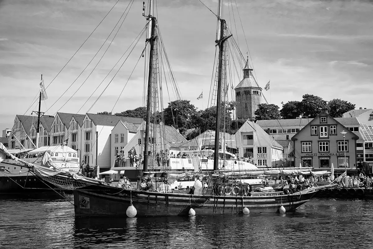 Gonçalo Cunha de Sá