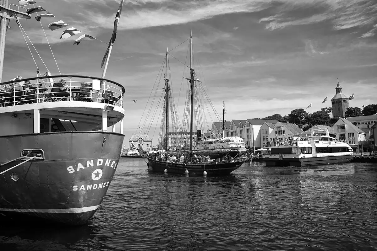 Gonçalo Cunha de Sá