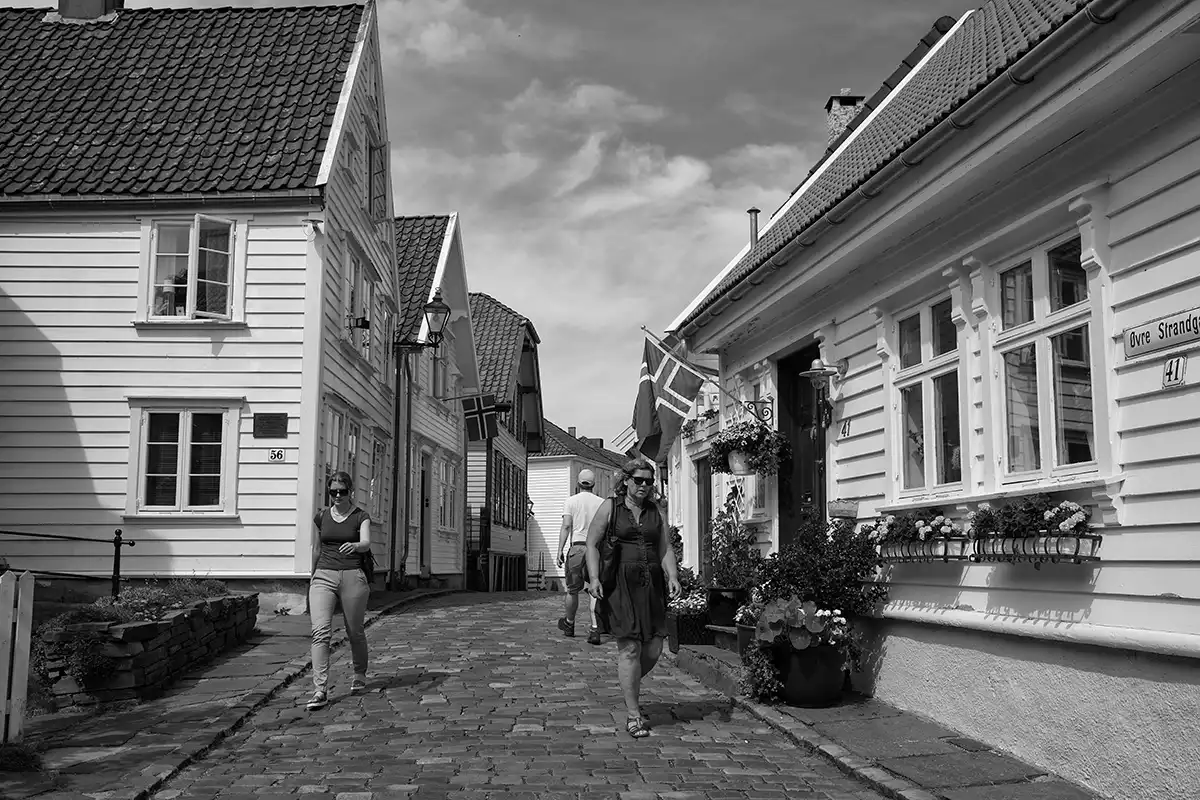 Gonçalo Cunha de Sá