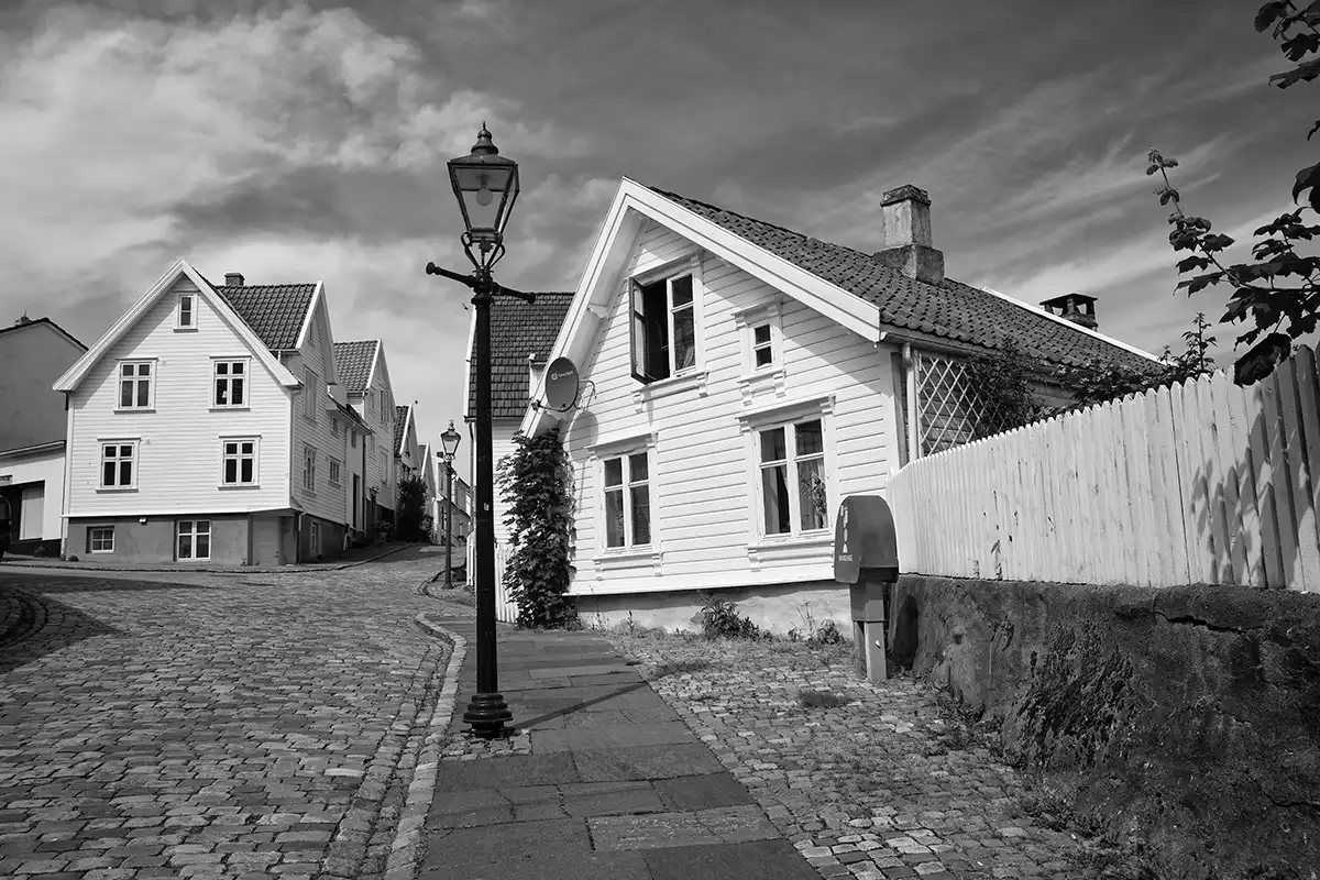 Gonçalo Cunha de Sá