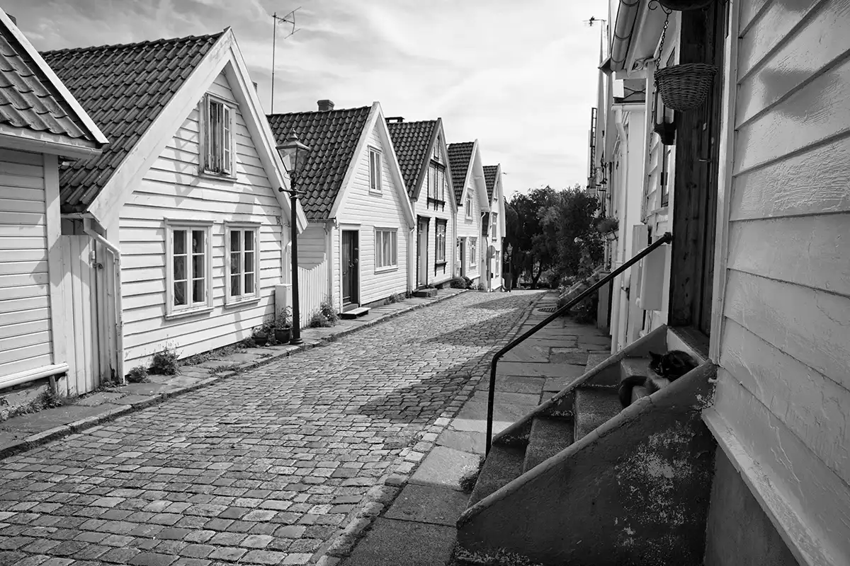 Gonçalo Cunha de Sá