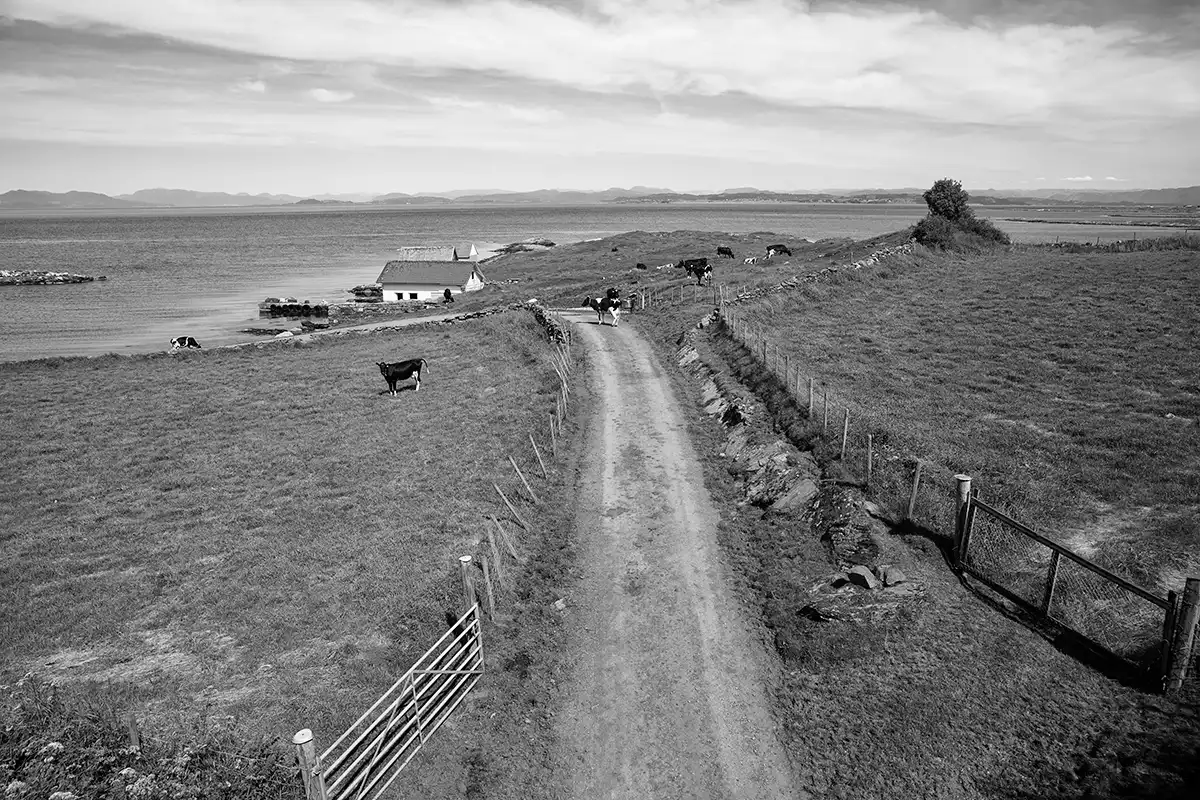 Gonçalo Cunha de Sá