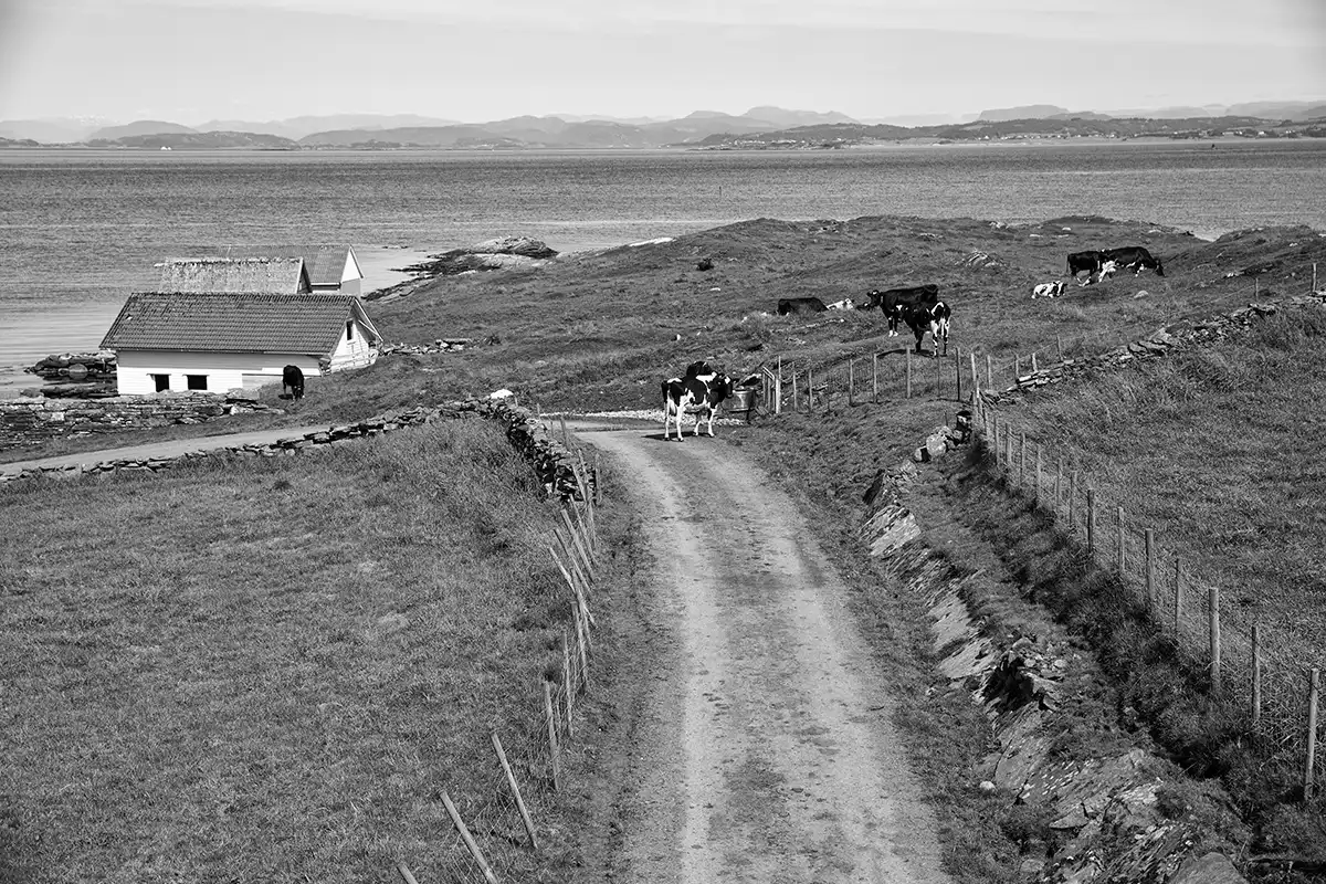 Gonçalo Cunha de Sá