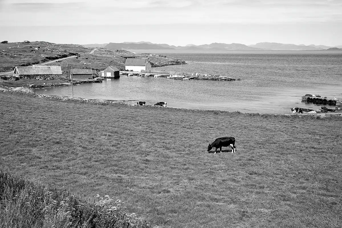 Gonçalo Cunha de Sá