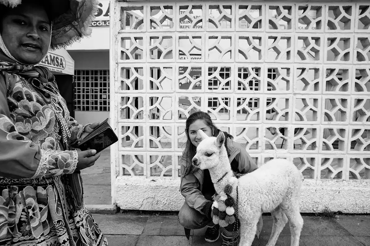 Gonçalo Cunha de Sá