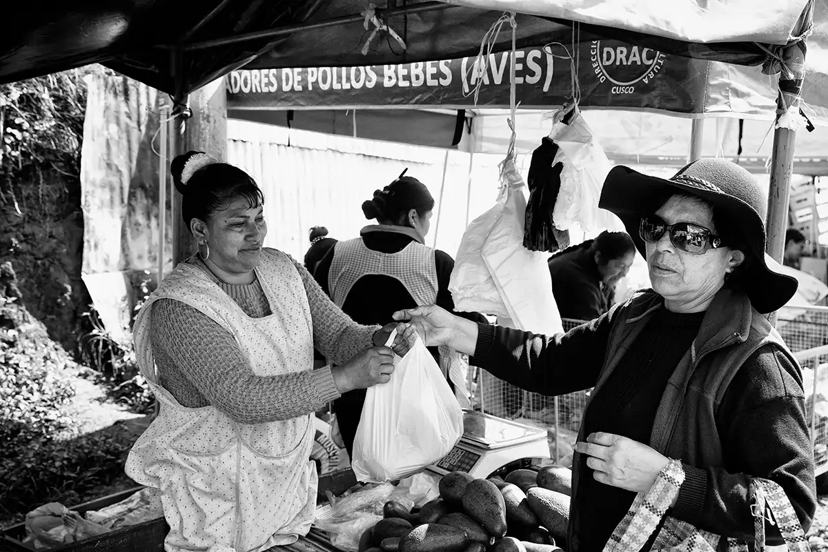 Gonçalo Cunha de Sá