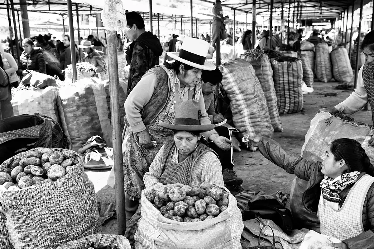 Gonçalo Cunha de Sá