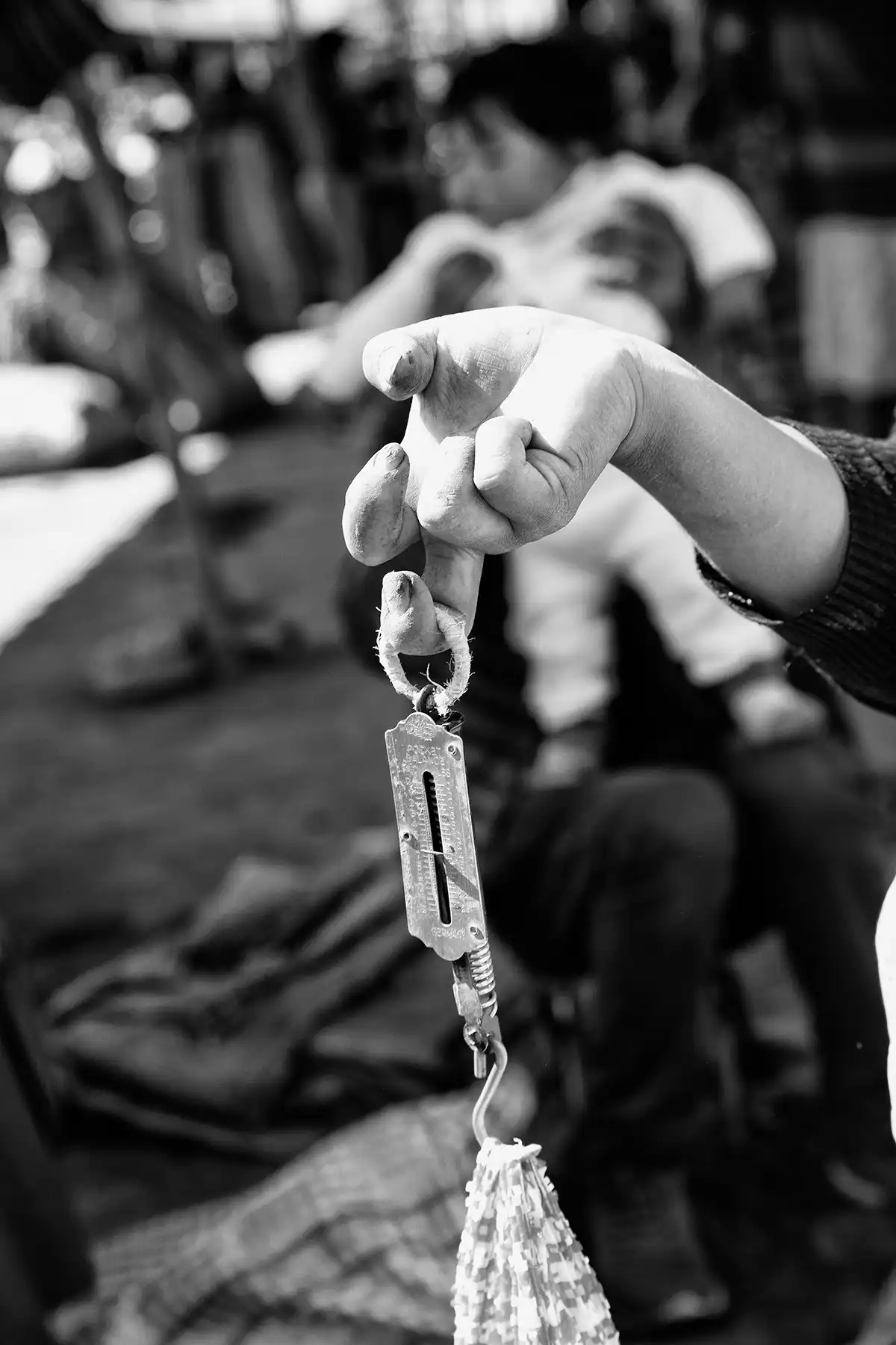 Gonçalo Cunha de Sá