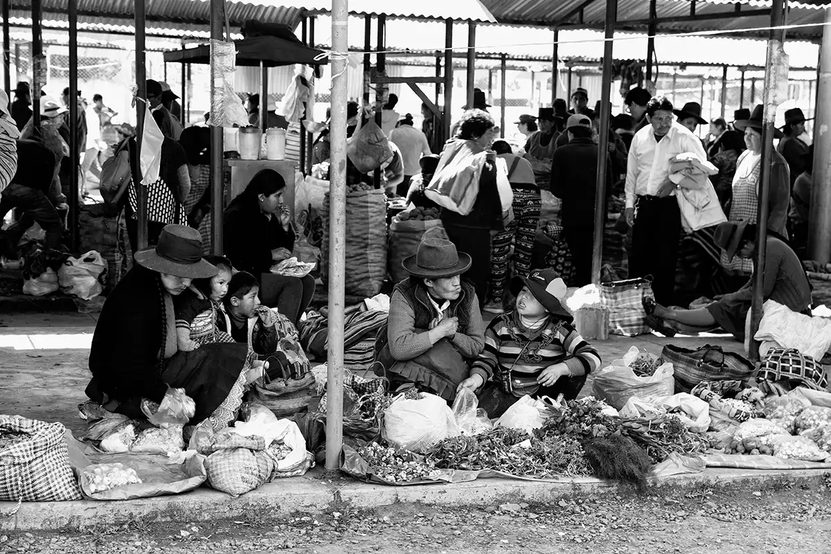 Gonçalo Cunha de Sá