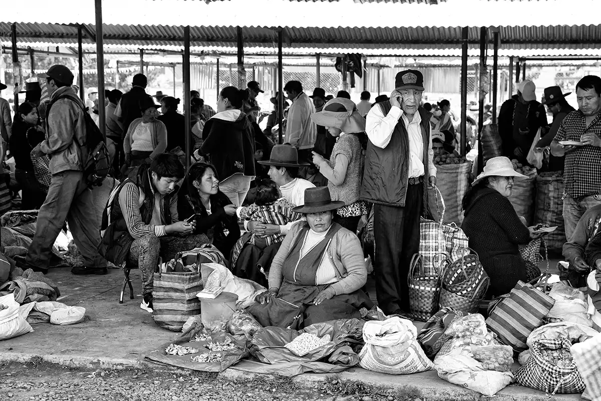 Gonçalo Cunha de Sá