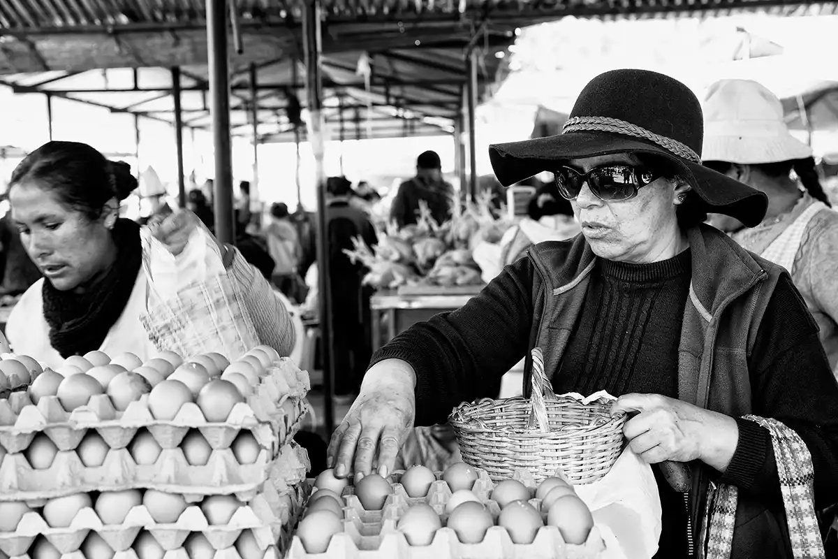 Gonçalo Cunha de Sá