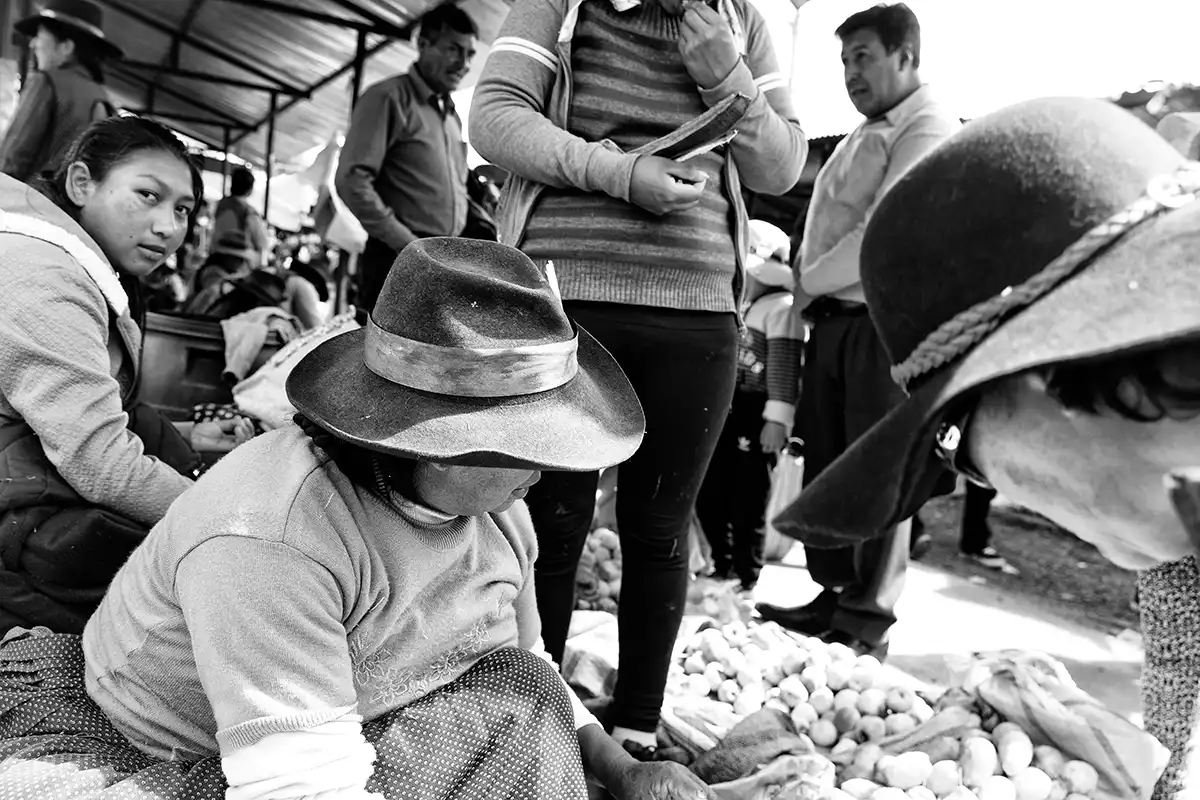 Gonçalo Cunha de Sá