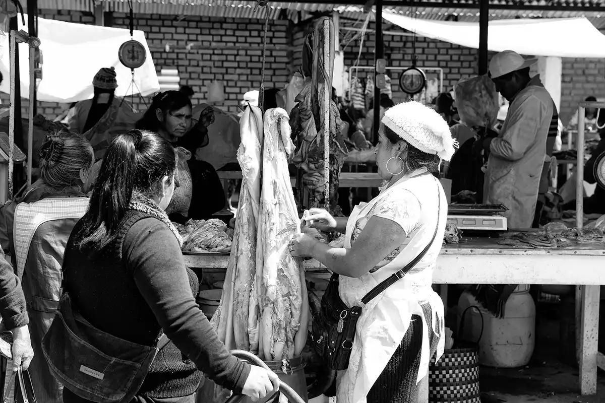 Gonçalo Cunha de Sá