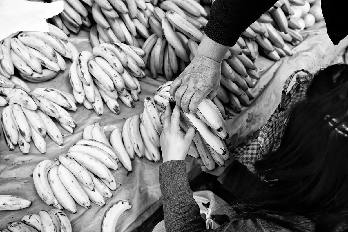 Gonçalo Cunha de Sá