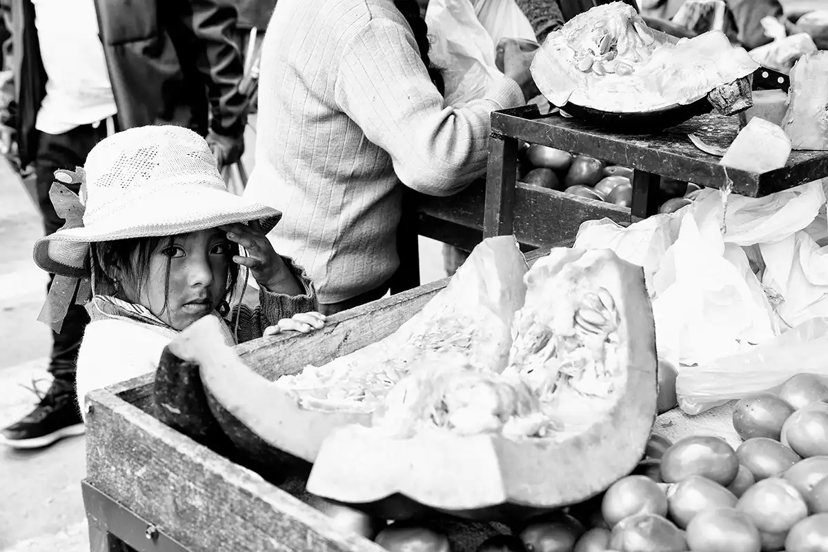 Gonçalo Cunha de Sá