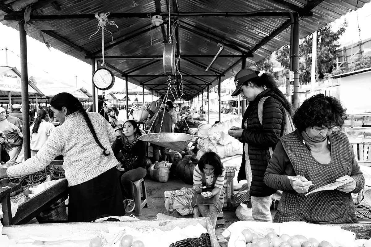 Gonçalo Cunha de Sá