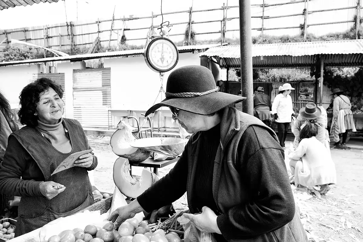 Gonçalo Cunha de Sá