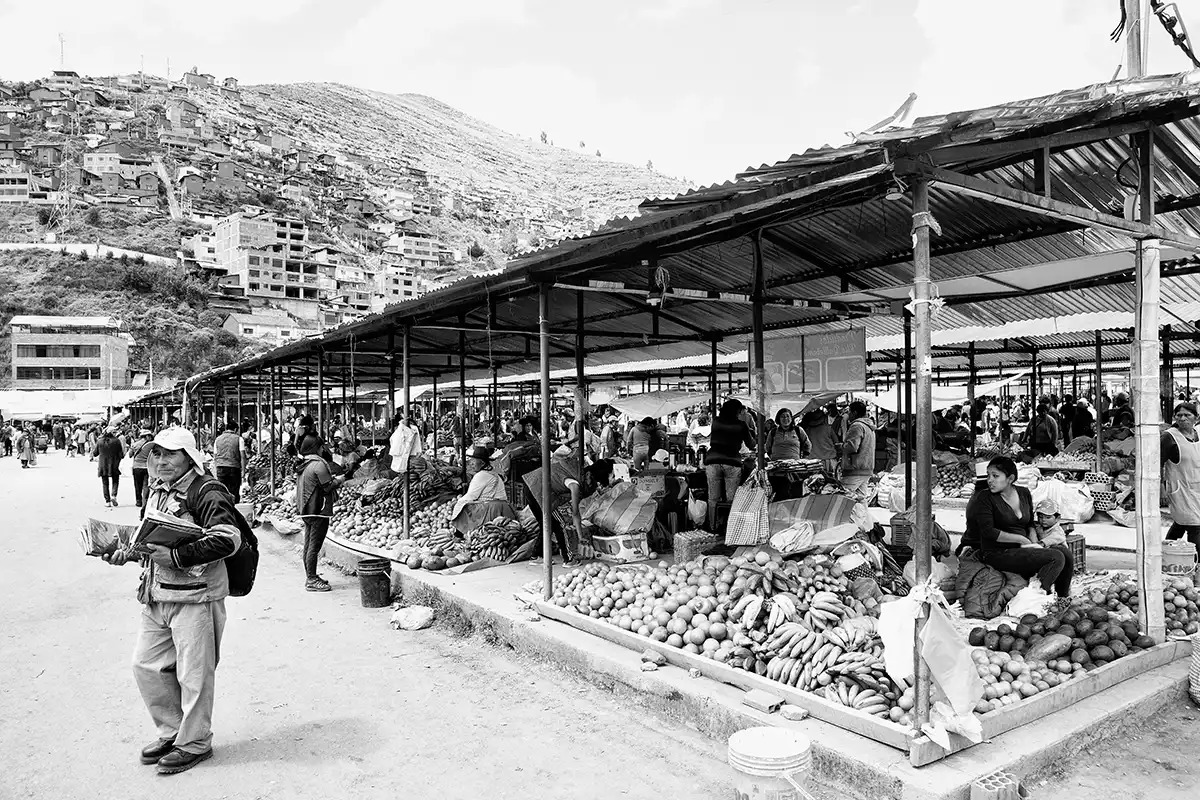 Gonçalo Cunha de Sá