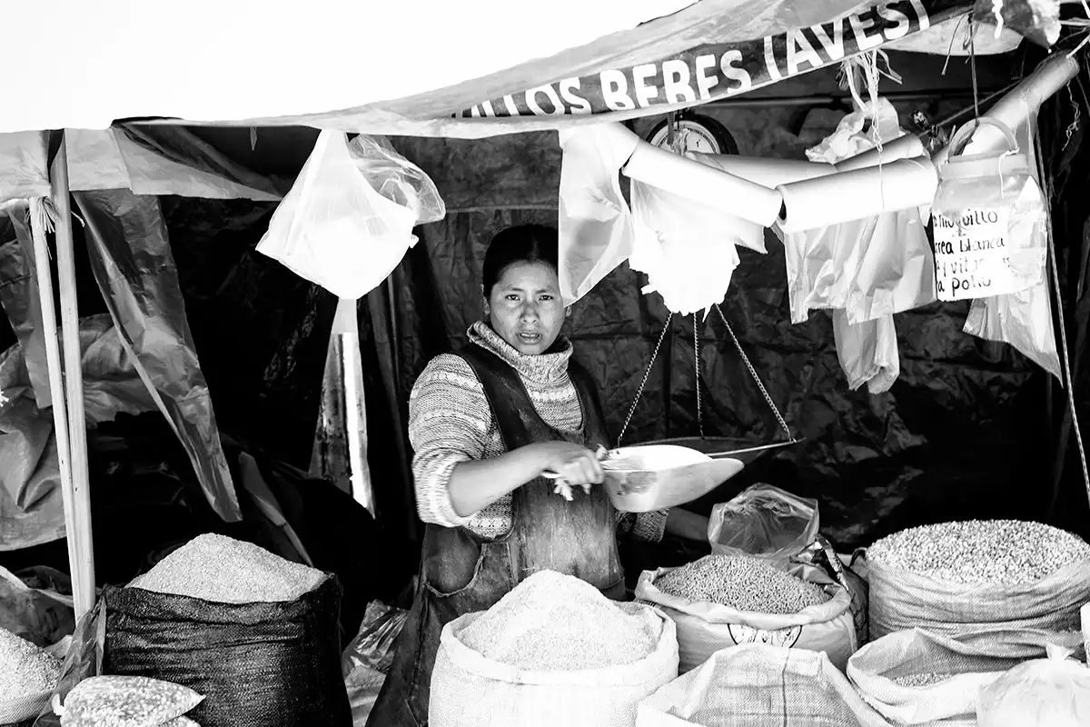 Gonçalo Cunha de Sá