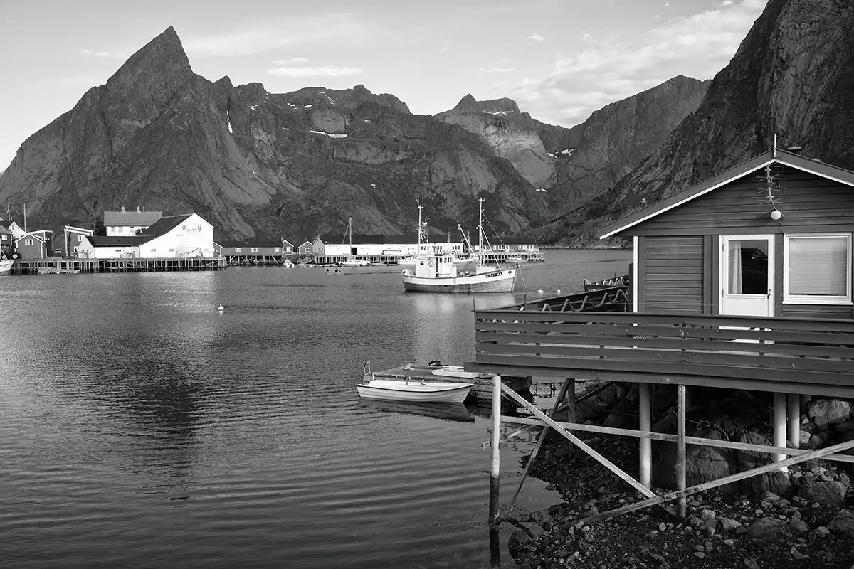 Gonçalo Cunha de Sá