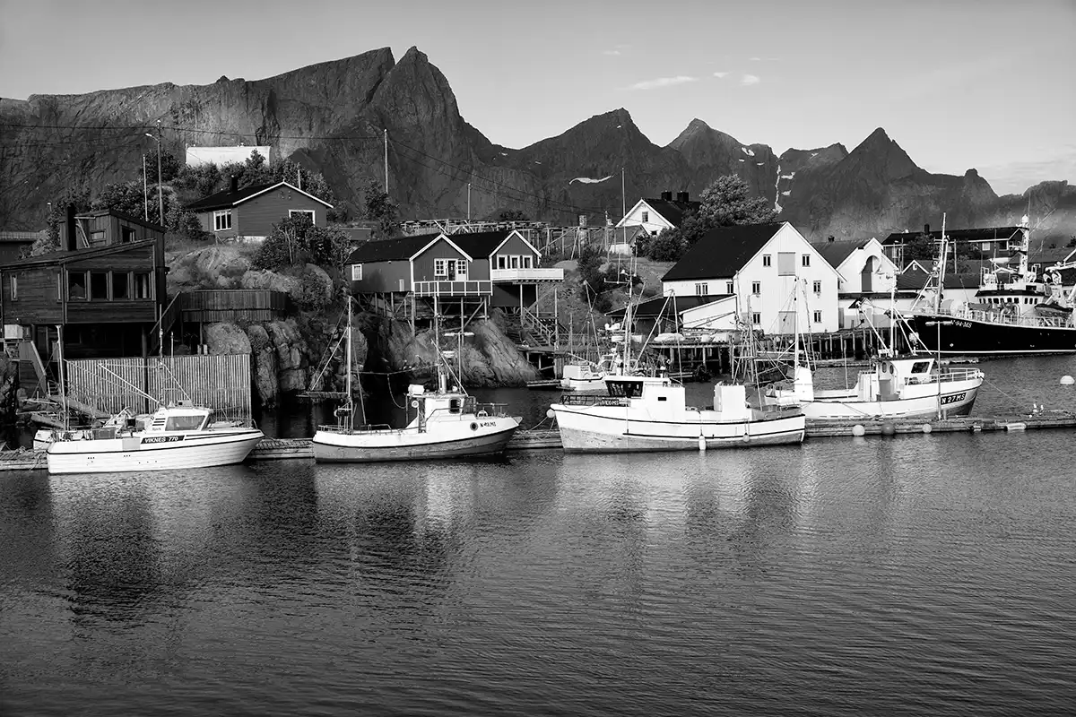 Gonçalo Cunha de Sá