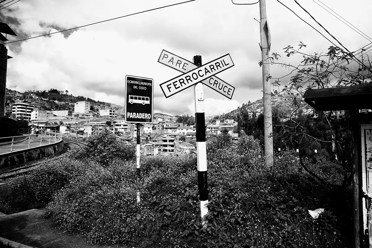 Gonçalo Cunha de Sá