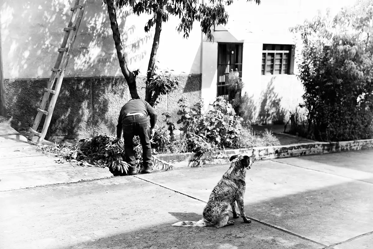 Gonçalo Cunha de Sá