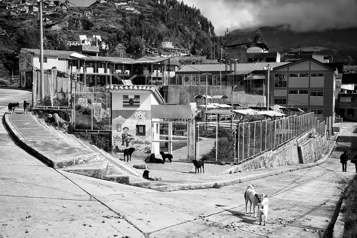 Gonçalo Cunha de Sá