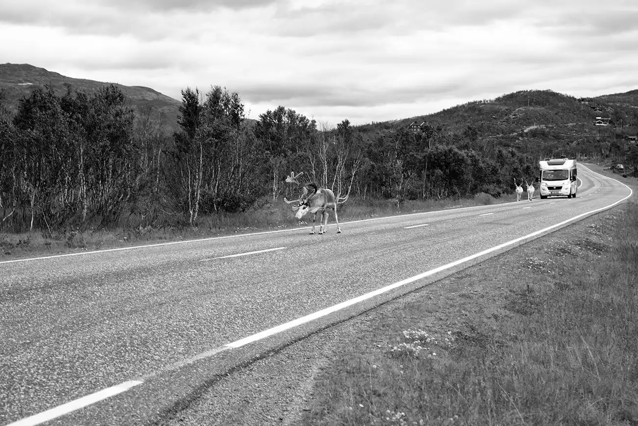 Gonçalo Cunha de Sá