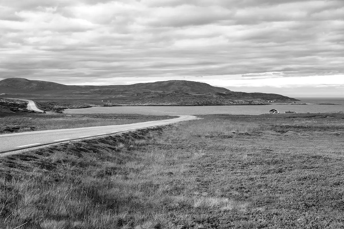 Gonçalo Cunha de Sá