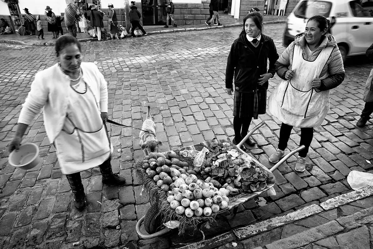Gonçalo Cunha de Sá