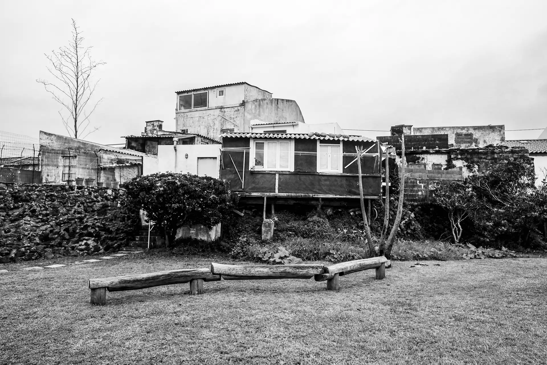 Gonçalo Cunha de Sá