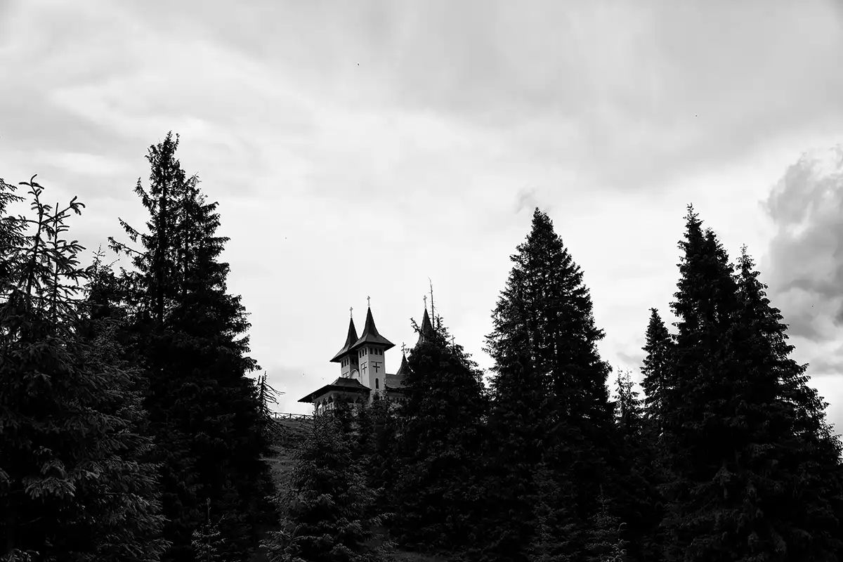 Gonçalo Cunha de Sá