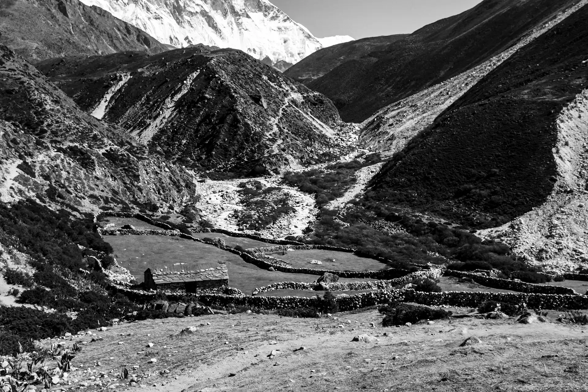 Gonçalo Cunha de Sá