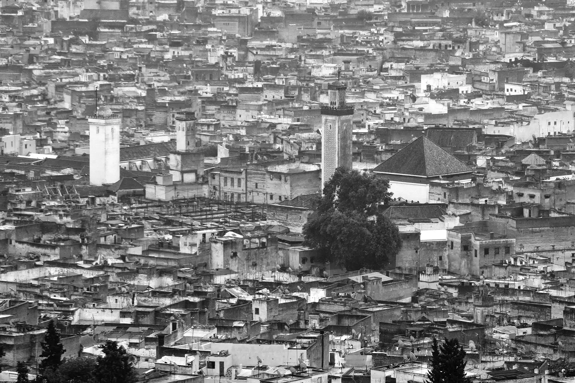 Gonçalo Cunha de Sá