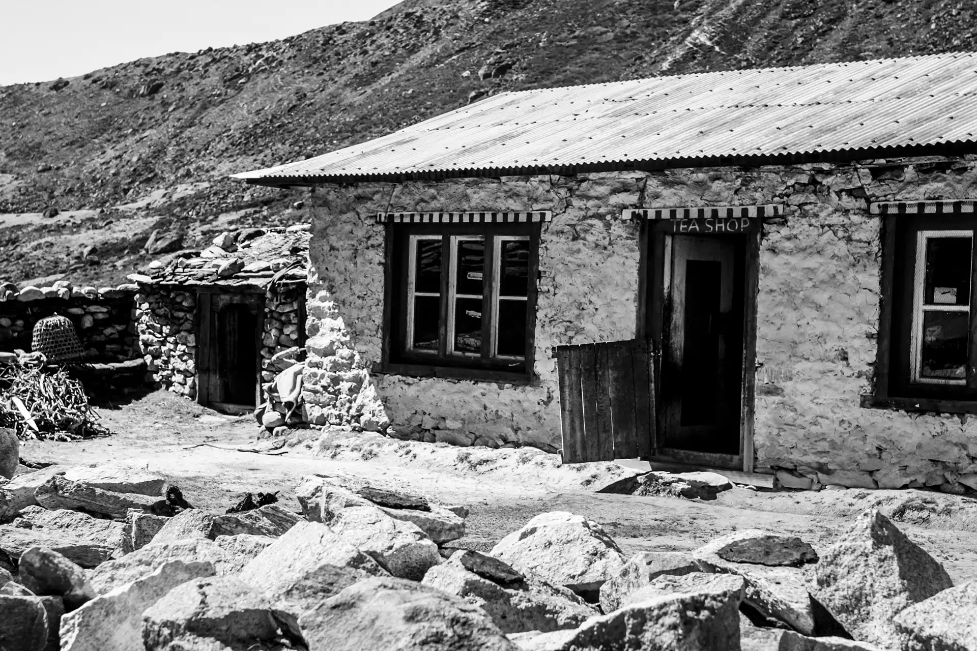 Gonçalo Cunha de Sá