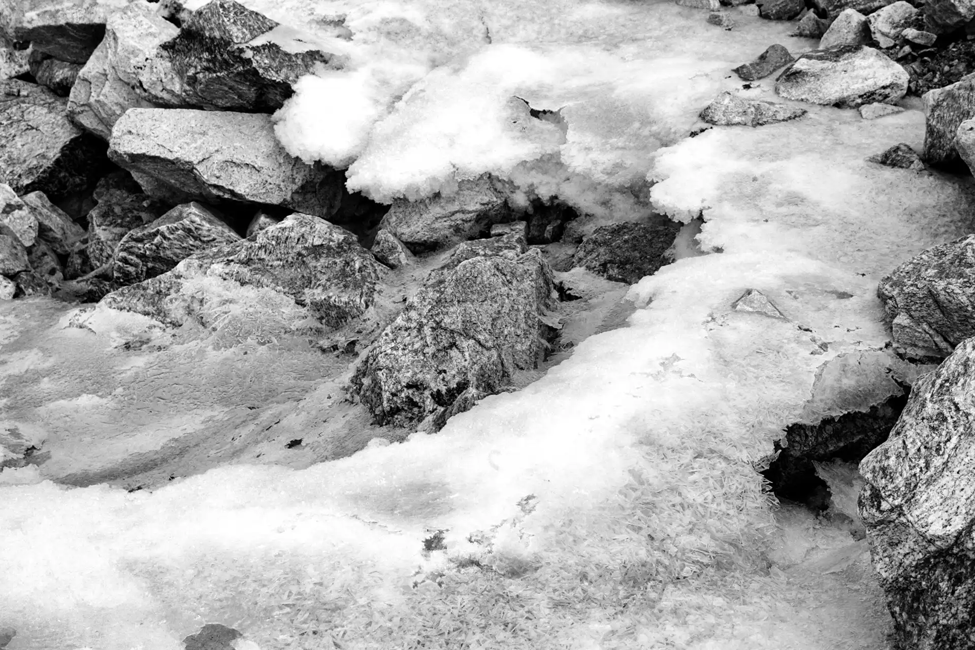 Gonçalo Cunha de Sá