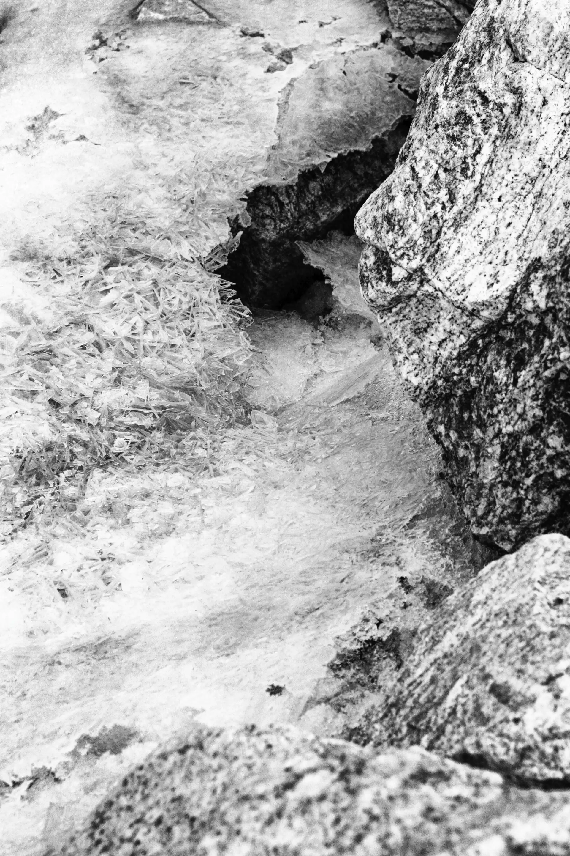 Gonçalo Cunha de Sá