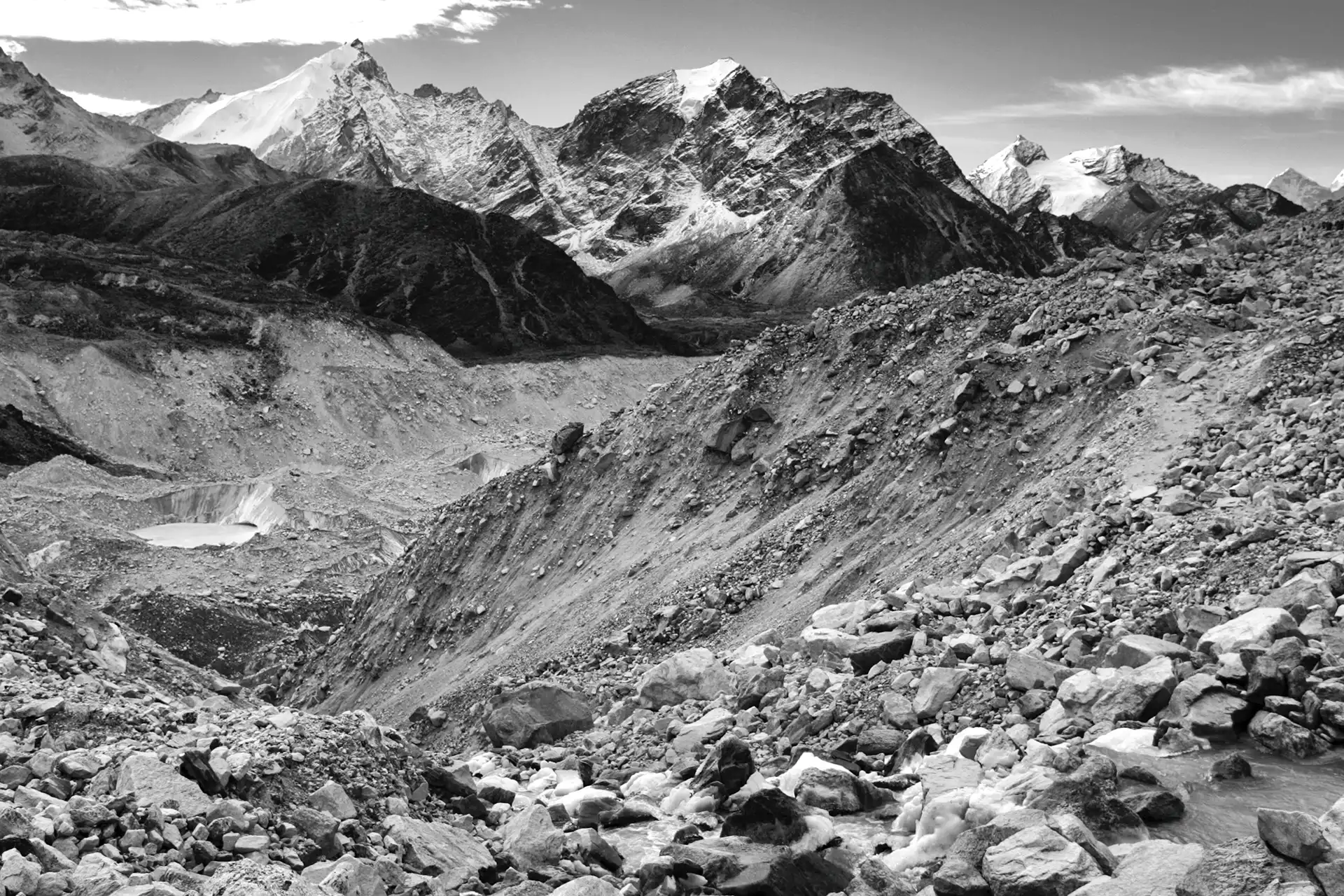 Gonçalo Cunha de Sá