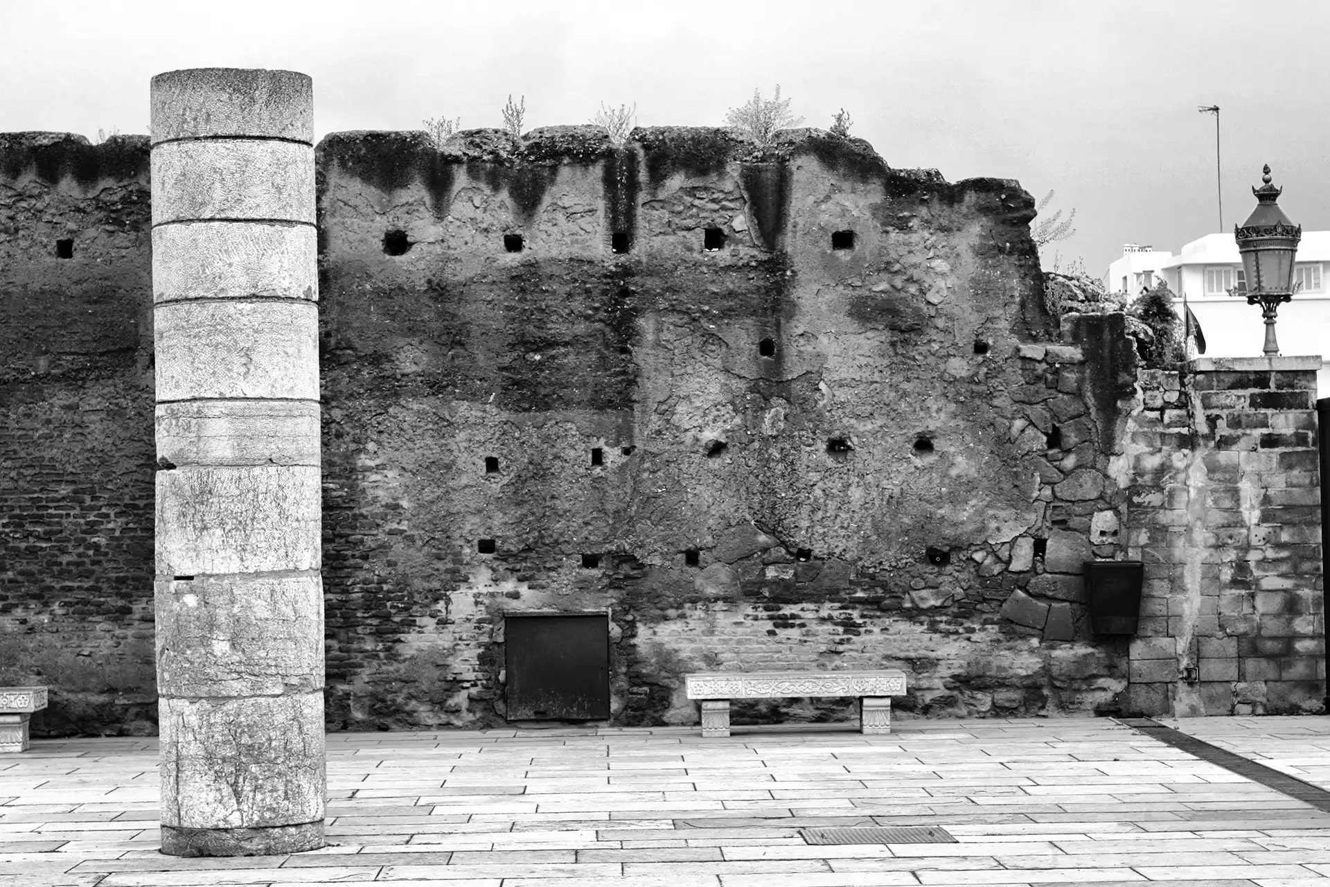 Gonçalo Cunha de Sá