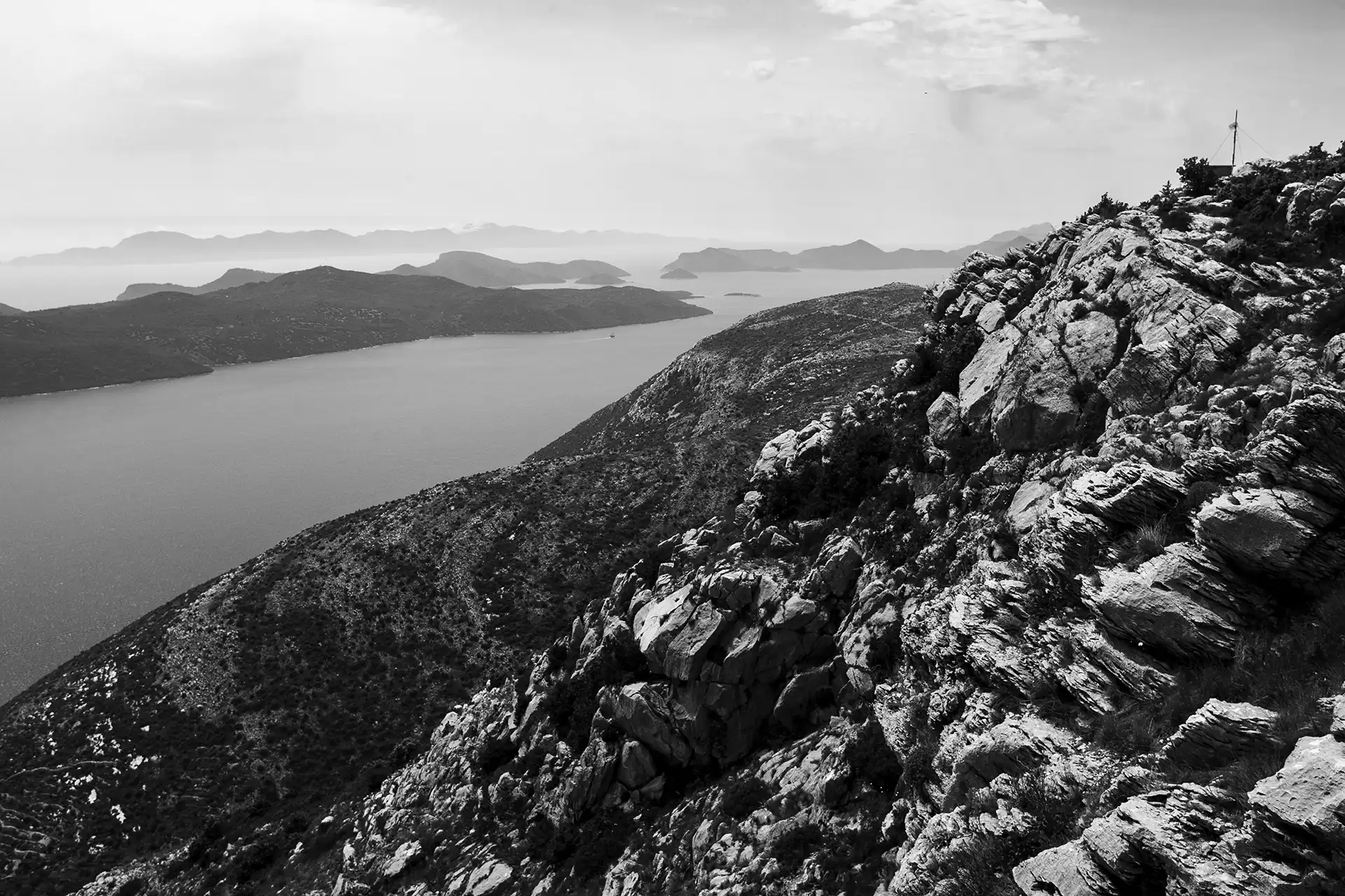 Gonçalo Cunha de Sá