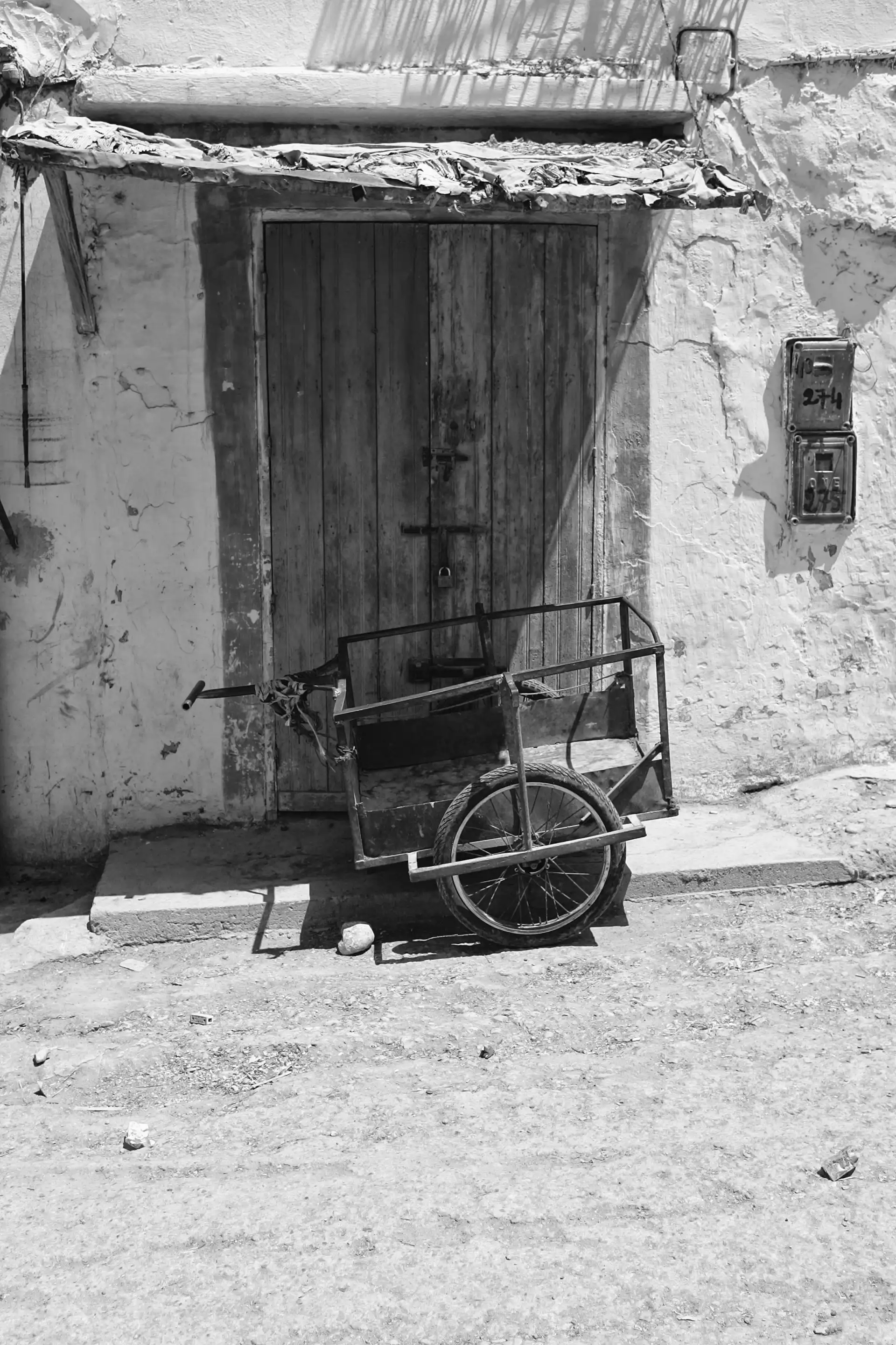 Gonçalo Cunha de Sá