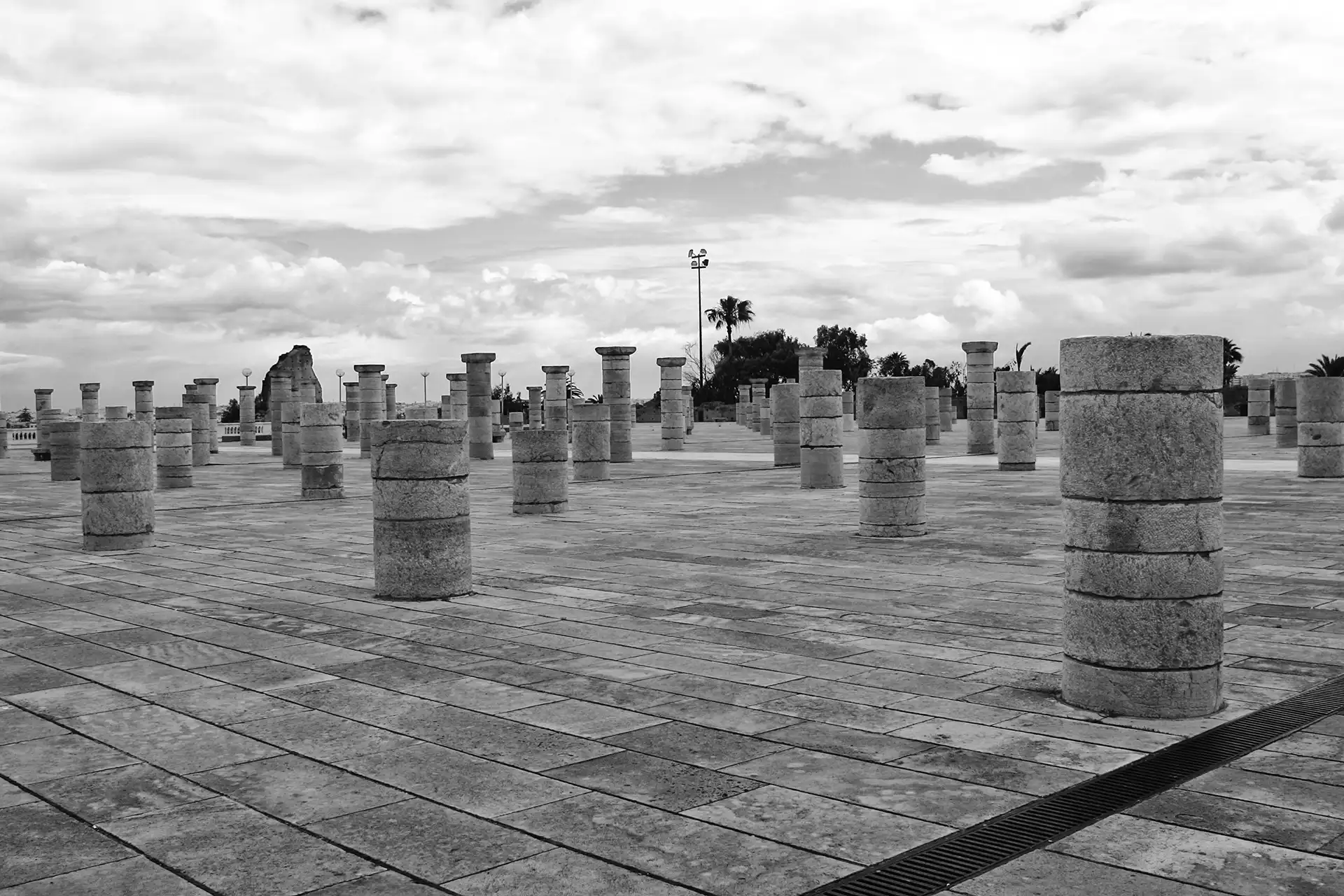 Gonçalo Cunha de Sá