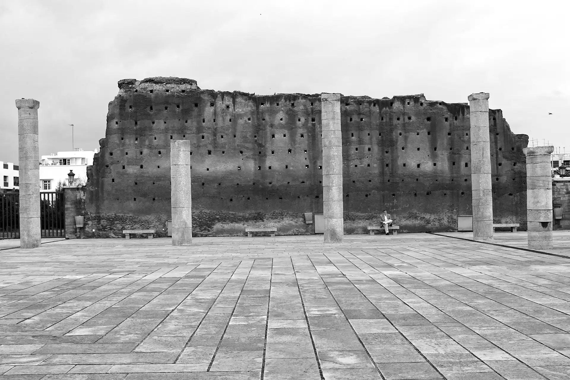 Gonçalo Cunha de Sá