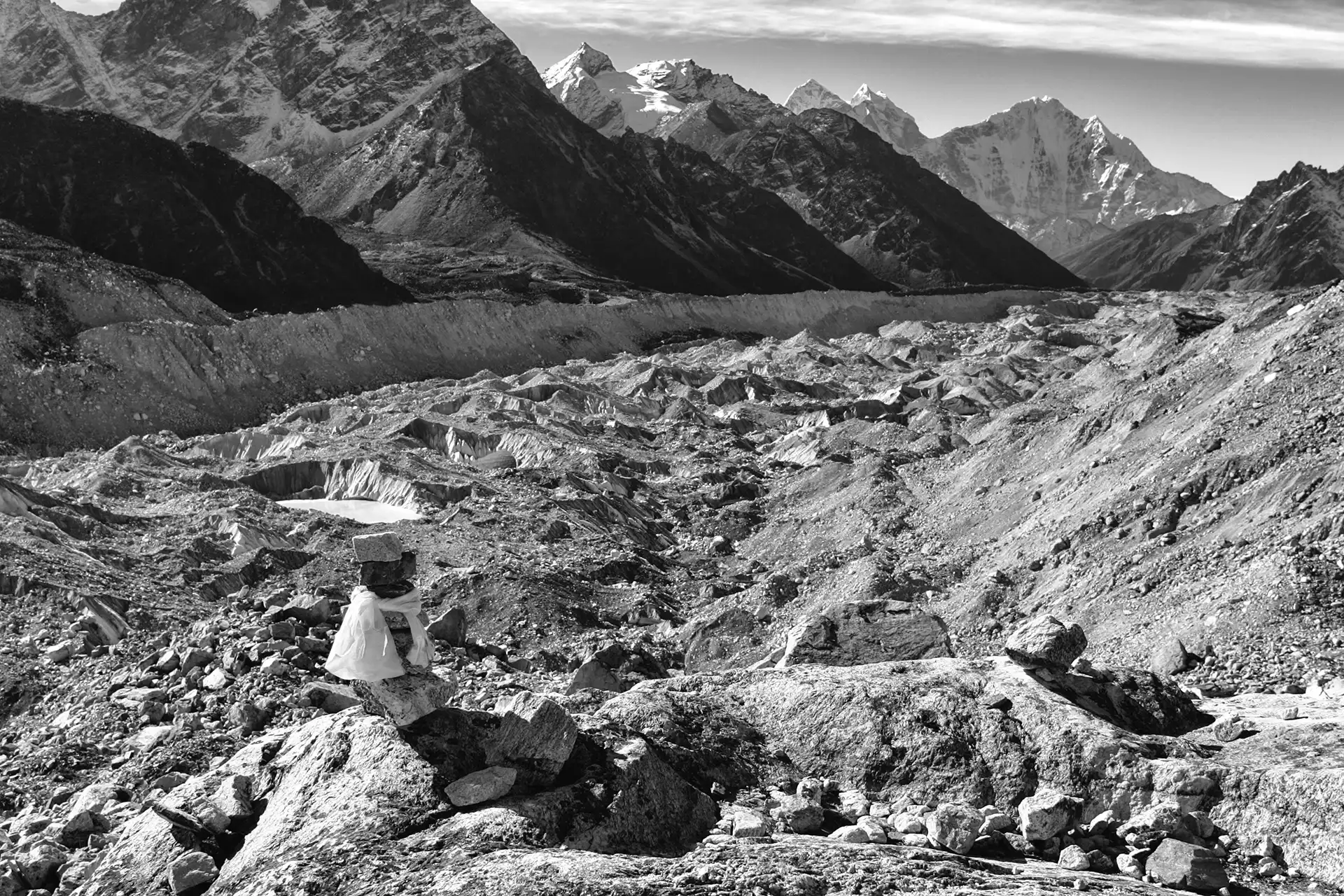 Gonçalo Cunha de Sá