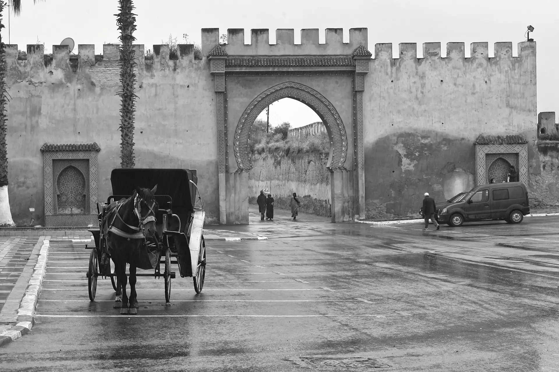 Gonçalo Cunha de Sá